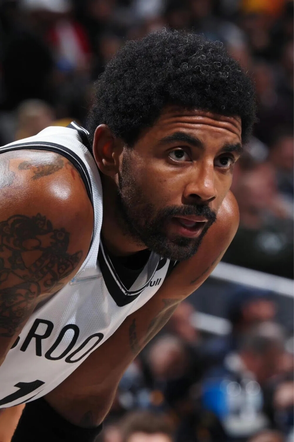 这篇文章旨 这篇文章旨