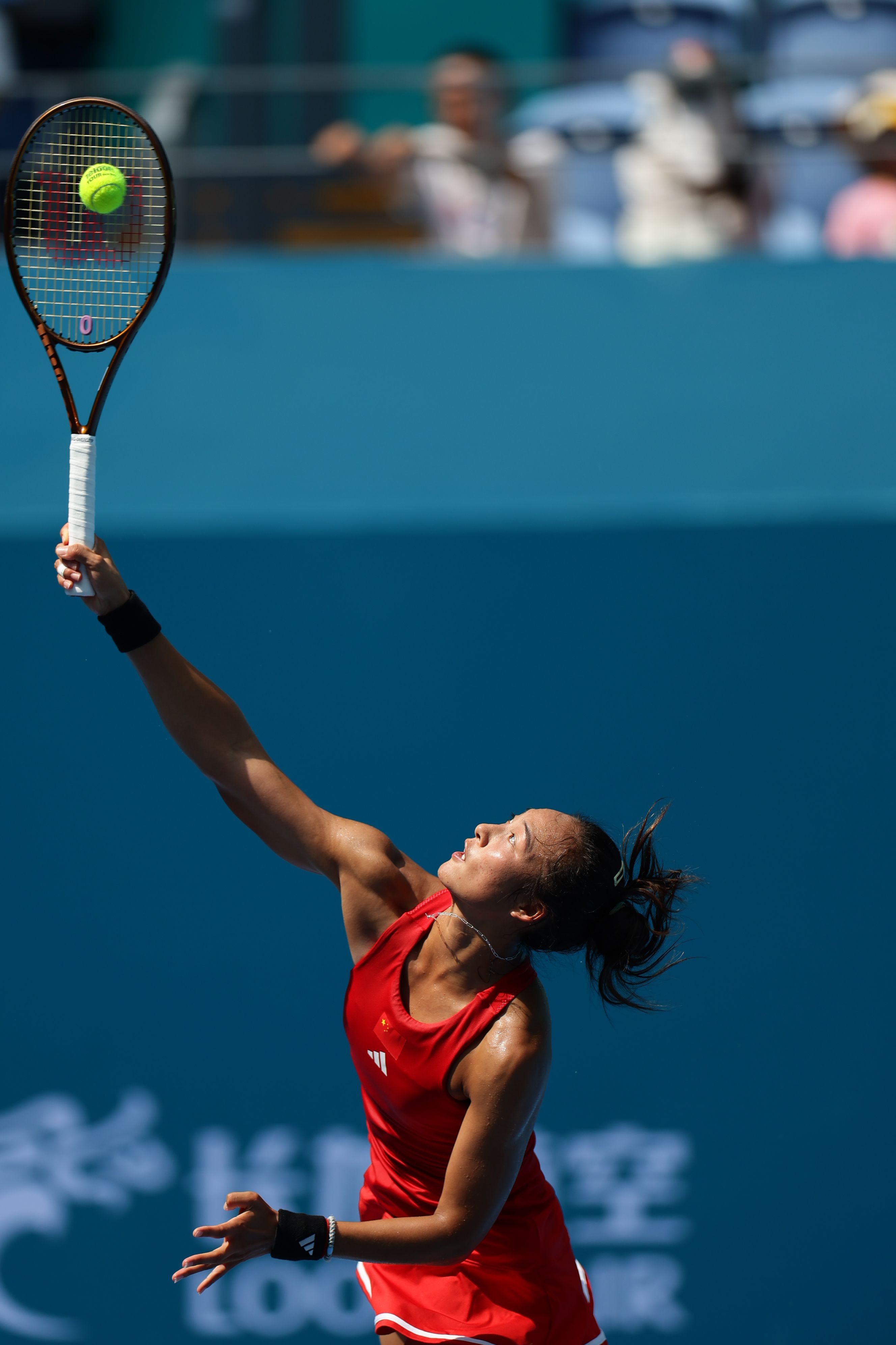 可以用于举 可以用于举