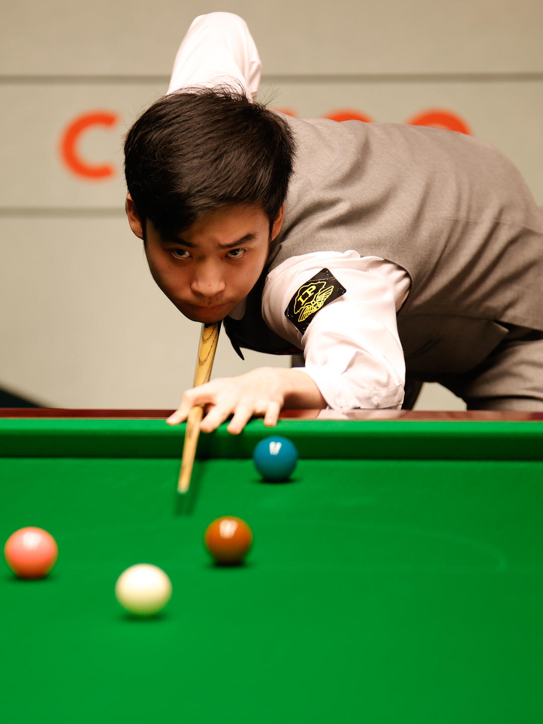 都能找到高 都能找到高